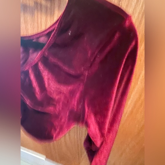 L Rose Designs Top size L Burgundy Velvet - Picture 4 of 4